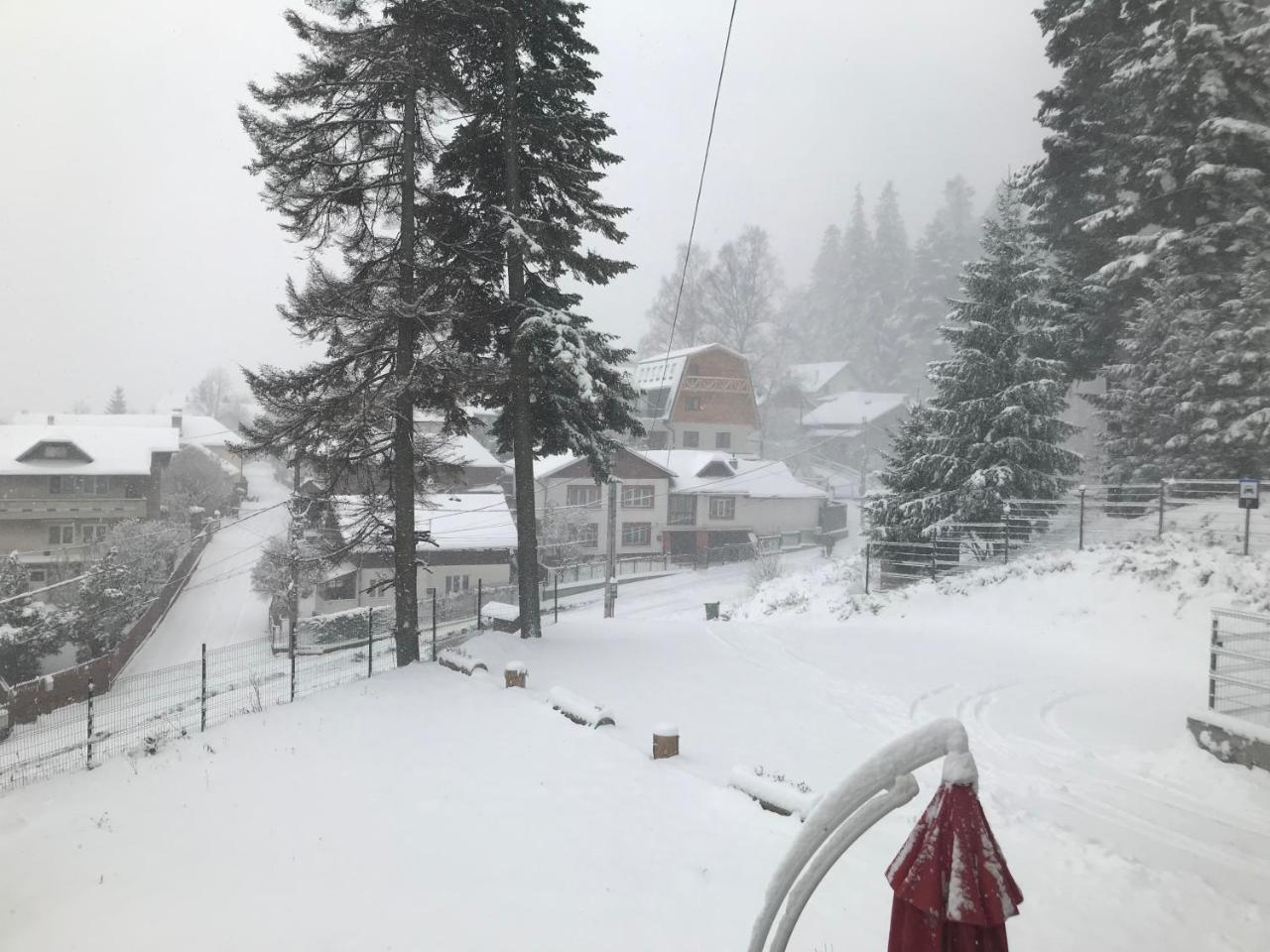 Hotel Casa Belcin Buşteni Esterno foto
